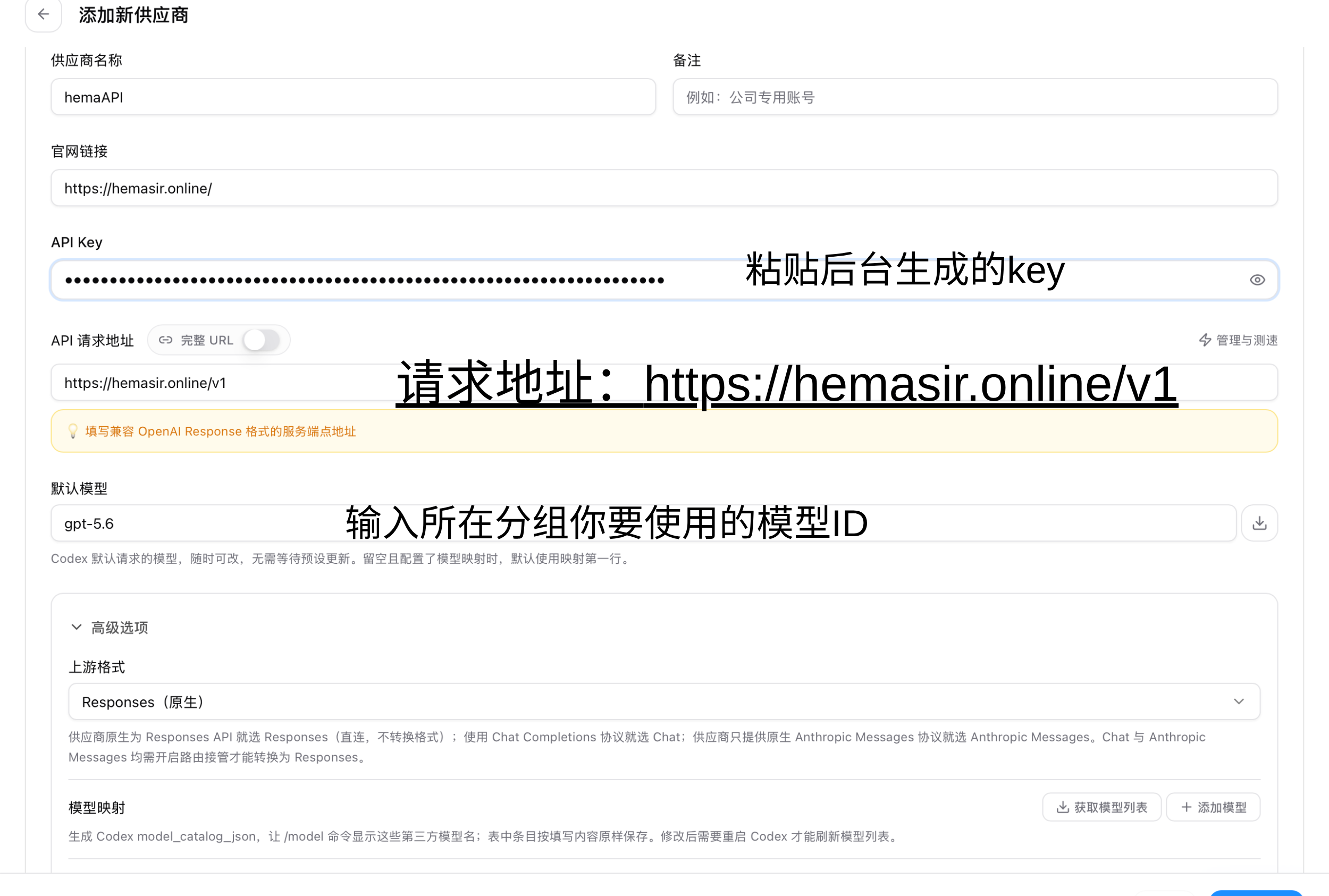 CCS 第三步：填写 hemaAPI 供应商、key、请求地址和模型 ID