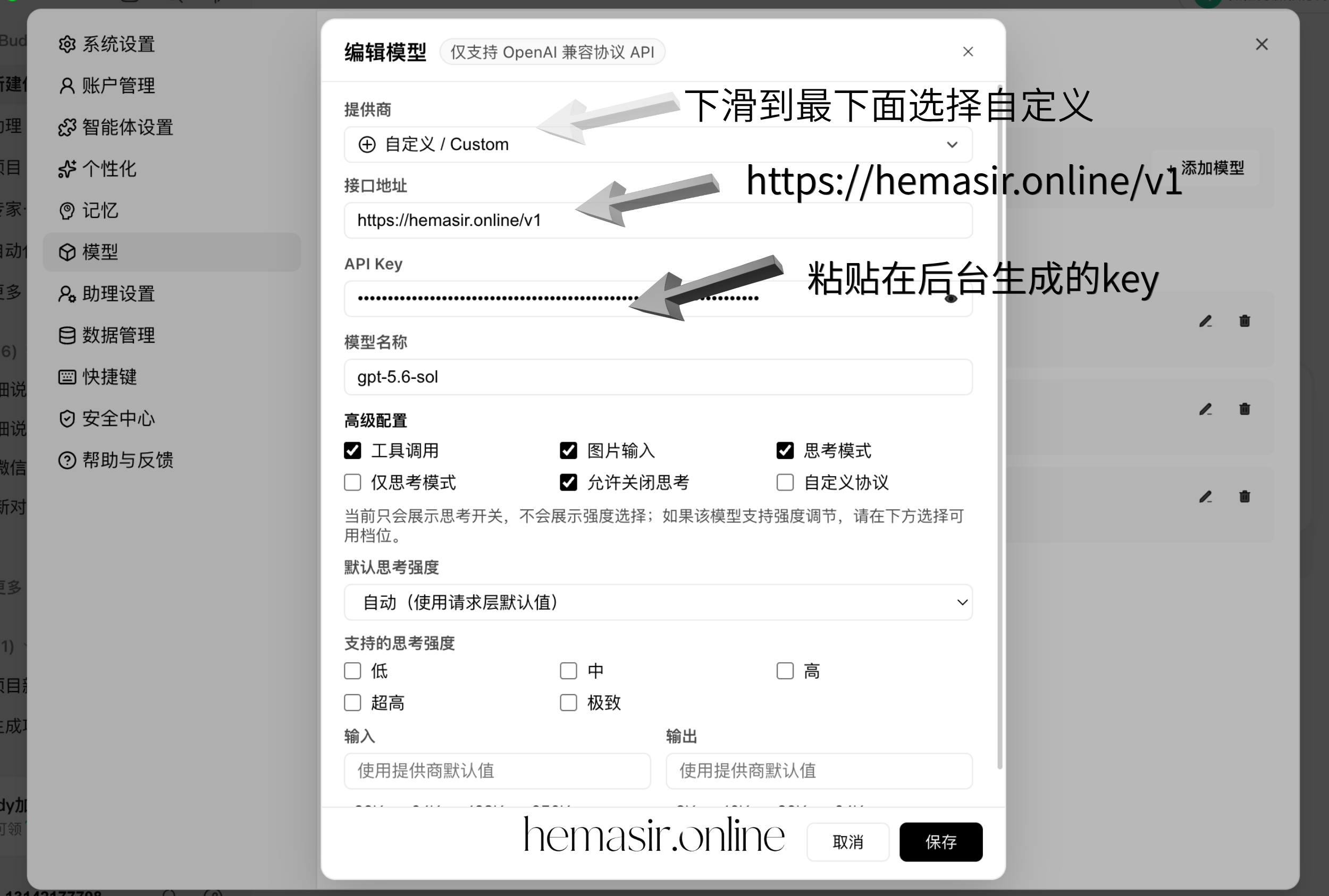 WorkBuddy 第三步：选择自定义并填写接口地址和 Key